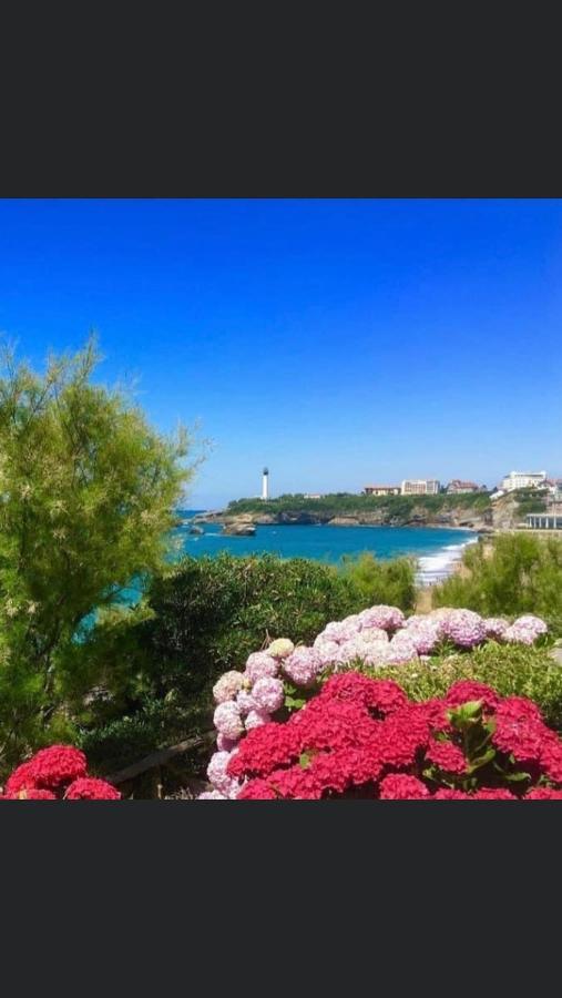 Residence La Croisiere- Appt Duplex 6 Personnes 安格雷 外观 照片